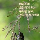 단비네 청과