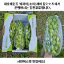 대호태권도장 이미지