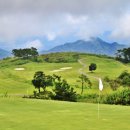 본24골프 이미지