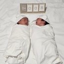 힐링 건강요가(강좌번호 : 12) | 엠에스힐링산후조리원 준특실 딸쌍둥이맘 11박 12일 솔직후기