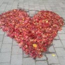 중산로157번길 이미지