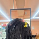 헤어넘버원 Daum카페