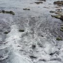 덕운민박 이미지