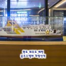 스텔라 | 완도 제주도 배편 차량 골드스텔라 예약 탑승 후기