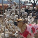 두호경로당 이미지