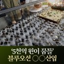 테크블루오션 이미지