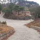 상목농장 Daum카페