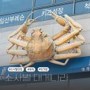 샐러드킹(소사벌점) | 평택 소사벌 대게나라 점심 저녁 추천 킹크랩 맛집