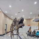 공룡민박 | [내돈내산] 전남 아이랑 가볼만한 곳! 보성 비봉공룡공원 가족 나들이 후기