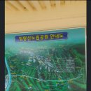 금마농협주유소 Daum카페