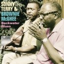If You Lose Your Money - Sonny Terry & Brownie McGhee - 이미지