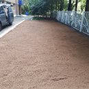 호산초등학교 병설유치원 이미지