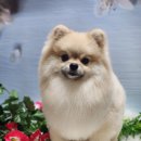 쿠쿠베베