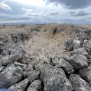 신흥리방사탑 2호 | 신흥리 환해장성