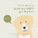 부평종합동물의료센터 이미지