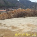 용진부동산공인중개사사무소 네이버블로그