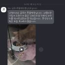 24시 글로리 동물병원 이미지