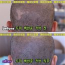 헤이브로 이미지