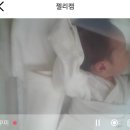 주식회사 라솜산후조리원 | 라솜산후조리원 성북점 9-10일차 신생아 쁘리마쥬 마사지 교육