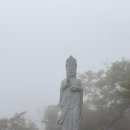 하늘과 바다사이 이미지