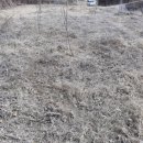 현서면사무소 이미지