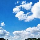 하늘 카카오 검색결과