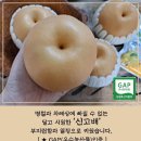 사과,배,샤인머스캣 (과일꾸러미) 50% 맛보기이벤트 이미지