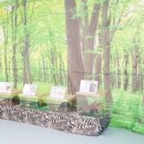 시립와동 어린이집 이미지