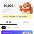 포인트 마트 | 쿠팡 경유 어플 참새마트 한달 후기 (참새마트 추천인 A18902595) 포인트 많이줌