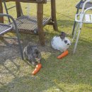 선흘아이 이미지