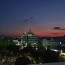 위즈파파 이미지