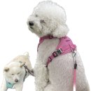 빵순돌이네 이미지