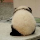 커피맥주 이미지