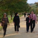 안동체육관 이미지