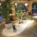 스시미르네 이미지