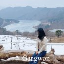 가오목장 이미지