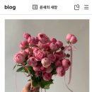 남대문시장6길 이미지