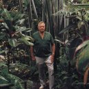 식스(six)브레드 | 빅아일랜드, 마우이, 카우아이섬의 식물원