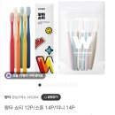 왕타 쇼티 칫솔 12P 8,900원 이미지