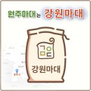 강원원주마대 이미지