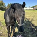 자현 민박 이미지