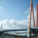 월동소류지 이미지