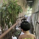 노엘농장 | 보홀 육상투어(현지 드라이버 노엘), 나비농장-&gt;안경원숭이-&gt;초콜릿힐-&gt;반딧불투어
