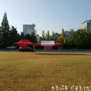 공룡 조형물 이미지