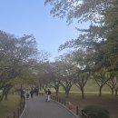 대릉원 이미지