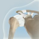 이레정형외과의원 이미지