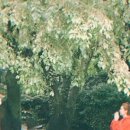 동일로163길 (9) 이미지