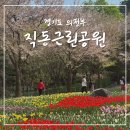 다람산근린공원 축구장 | 의정부 직동근린공원 벚꽃 튤립 개화상태 및 주차