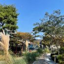 오서산억새풀마을 영농조합법인 이미지