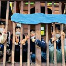 국선농장 이미지